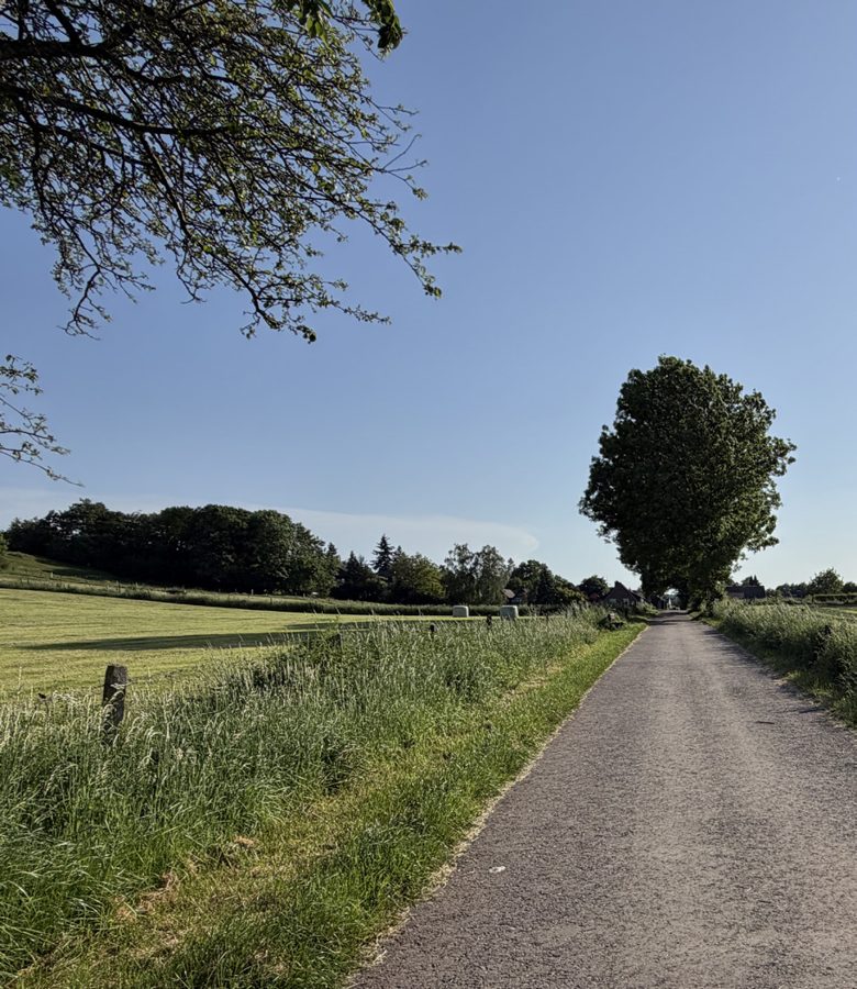 Naturschutzgebiet Schlangenberg – Wanderroute BR 2