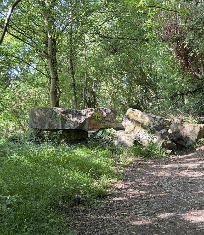 Naturschutzgebiet Schlangenberg – Wanderroute BR 2
