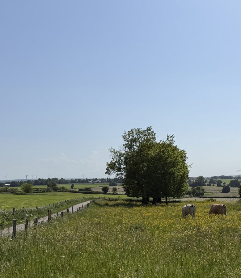 Naturschutzgebiet Schlangenberg – Wanderroute BR 2